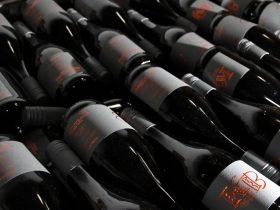 Useful Essential Wine Storage Tips From Wine Connoisseurs