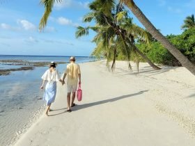 A couple strolls hand in hand along a serene tropical beach under swaying palm trees, with clear blue skies and gentle ocean waves